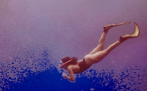 [�ϼ�]Ǳˮ������15ƪ