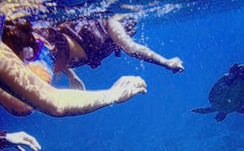 ����Ǳˮ����Ǳˮ��Ա��ͬ