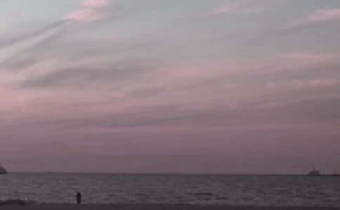 �ػʵ�����������