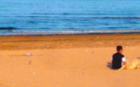 ���ػʵ�����