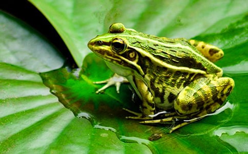 �а�����������׽���桷�̰�9ƪ