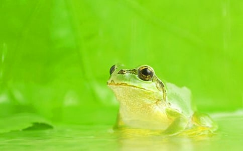 С��������(��ѡ15ƪ)