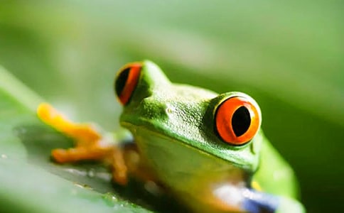 С��������15ƪ