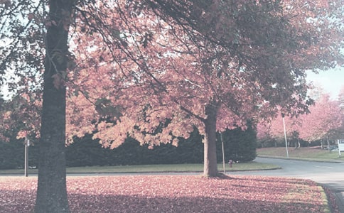 �＾���ջ�����