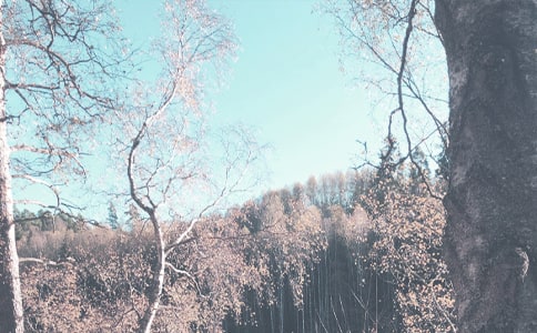 �＾�а�༶�����ƻ�