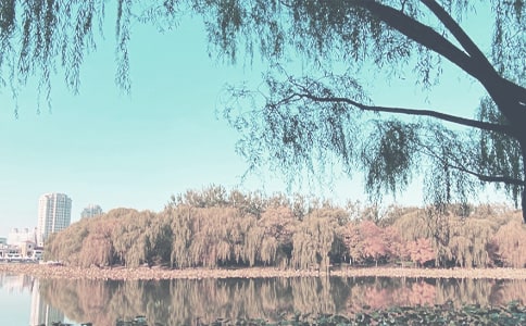 Сѧ��ȫ�＾�����ƻ���ͨ��15ƪ��