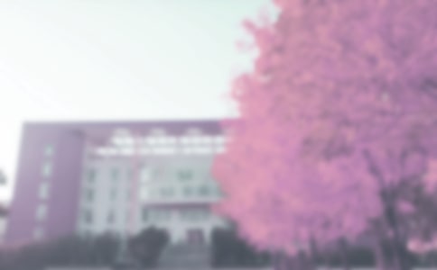 С���＾�����ƻ�������ƪ