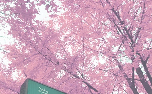 �＾ѧ�����ȶӹ����ܽ᷶��