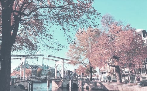 Сѧ���꼶�����＾�����ƻ�