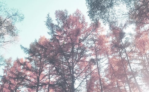 �＾�������ƻ�