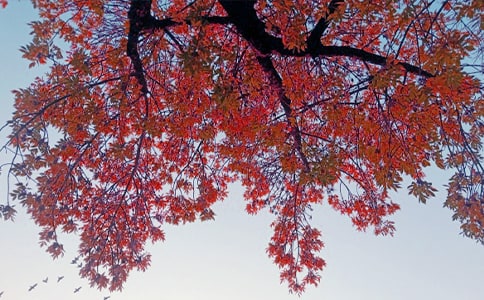 ����Ʒ������˽������15ƪ