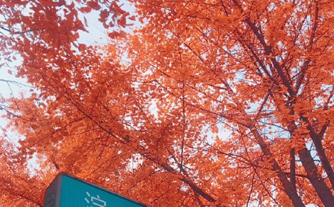 ����˼������