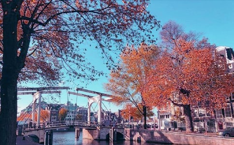 ����ů������