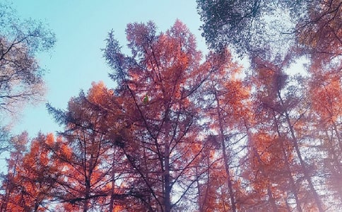 �����㡿������������3ƪ