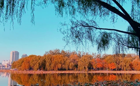 ������������15ƪ