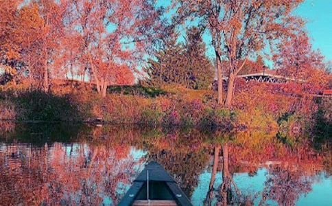 ������������700��