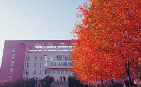 ���ջ�������5ƪ