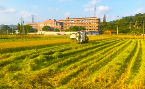 ���յľ��Ӷ̾�Ψ��