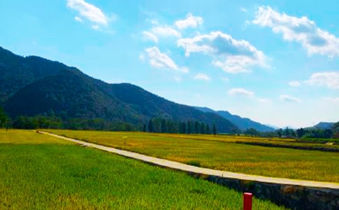 12�����ա�