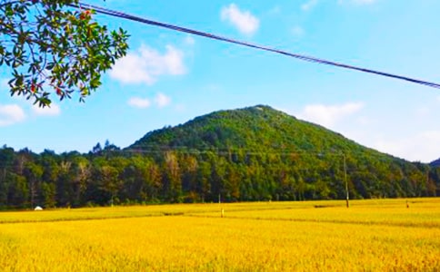 �����ĳ�����----�ۺ������ĵ�һ������