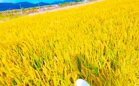 �����ջ����ݾ���