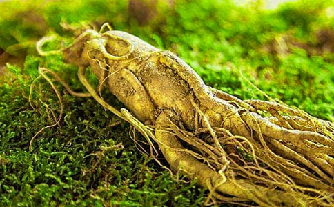 ���˲��뻷���������̰���ͨ��8ƪ��