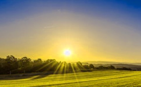 ��д�ճ�����