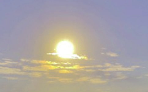 �ճ���������