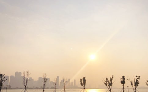 ���ճ���������