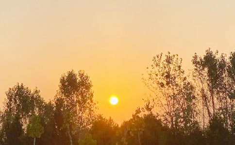 �����ճ�����15ƪ(��Ʒ)