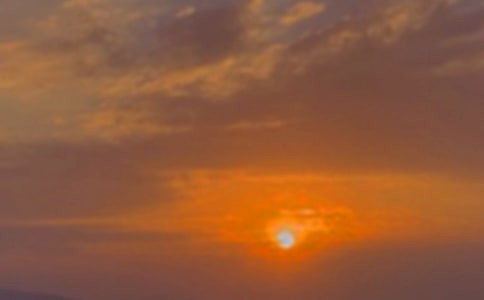 ������������������6ƪ