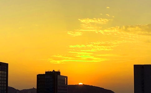 �۲����������