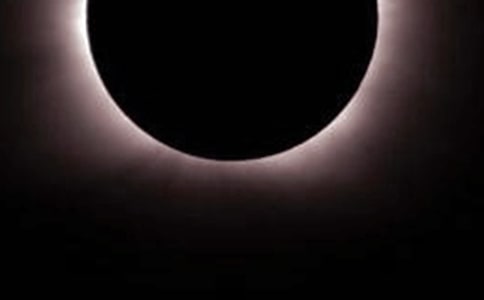 �������ʳ����