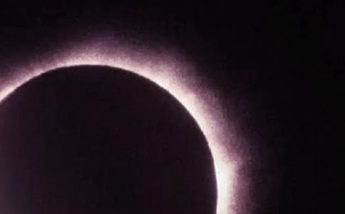 ��ʳ��������3ƪ(��ѡ)