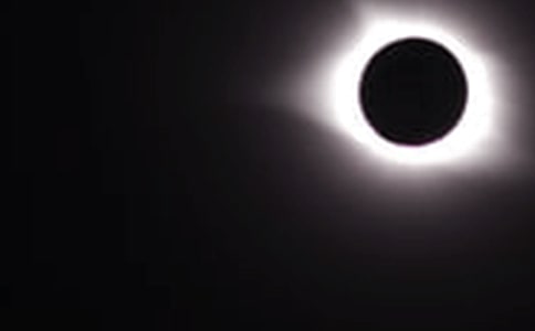 [��ѡ]��ʳ��������8ƪ