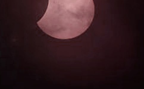 ��ʳ��������8ƪ(����)