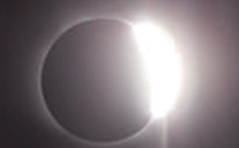 ����ʳ��������5ƪ