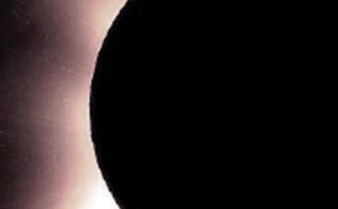 ����ʳ����