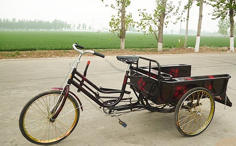 ���ֳ�������