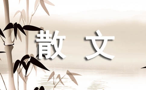 ����1ɢ�ĵ�Ԫ