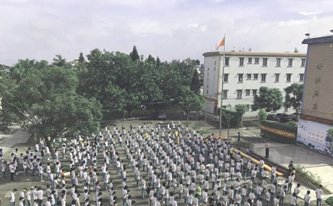 ɢѧ�������ļ���10ƪ