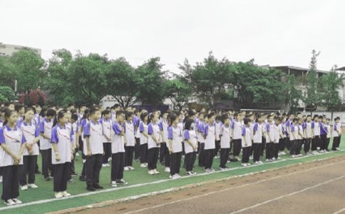 ɢѧ��������