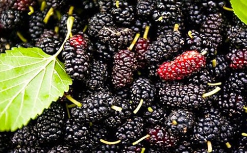 [��Ʒ]ժɣ������15ƪ