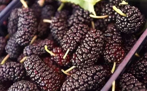 ժɣ������400��