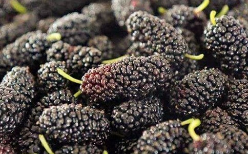 (�ر�)ժɣ������