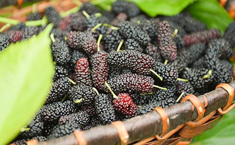 ��ɣ����������