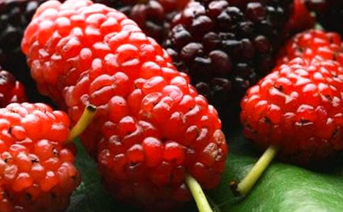 ժɣ������