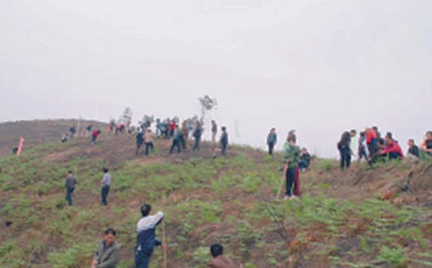 ��ʿɨĹ��������900��