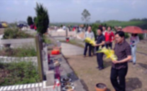 ����ѡ��Сѧ��ɨĹ���Ļ��7ƪ