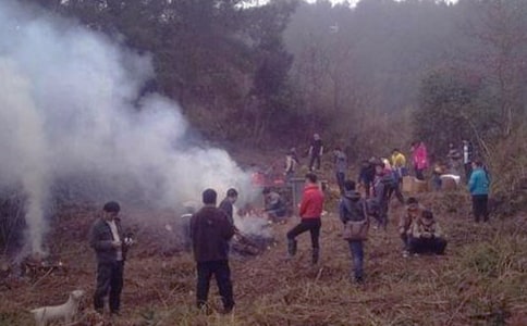 ɨĹ����������11ƪ